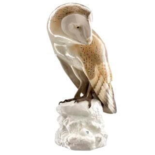 Nymphenburg Barn Owl Painted