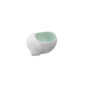 Nymphenburg Snail Pepper Celadon