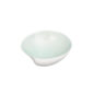 Nymphenburg Clam Shell Celadon