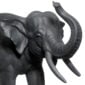Nymphenburg Elephant Black Bisque Close Up