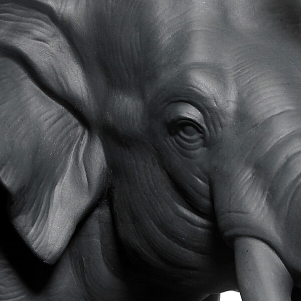 Nymphenburg Elephant Black Bisque Close Up Of Eye