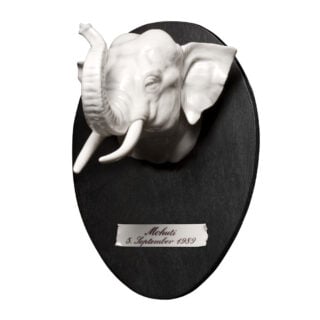 Nymphenburg Elephant Hunting Trophy