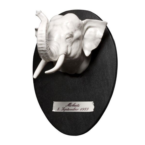 Nymphenburg Elephant Hunting Trophy