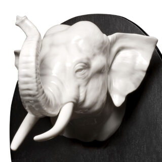 Nymphenburg Elephant Hunting Trophy Close Up