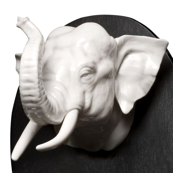 Nymphenburg Elephant Hunting Trophy Close Up