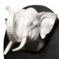 Nymphenburg Elephant Hunting Trophy Close Up