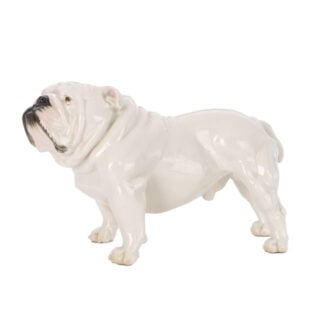 Nymphenburg English Bulldog