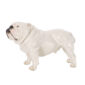 Nymphenburg English Bulldog