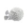 Nymphenburg Hedgehog Fish White Bisque