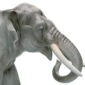 Nymphenburg Painted Elephant Figurine - Trunk Down Close Up