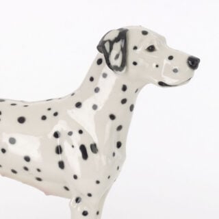 Nymphenburg Porcelain Dalmatian Close Up