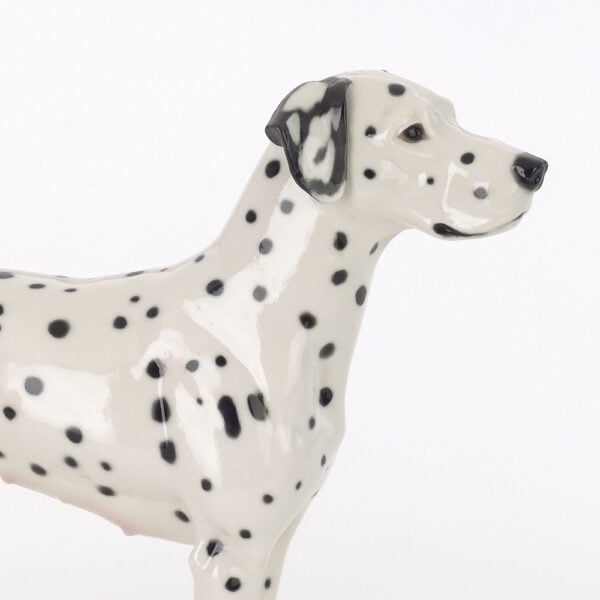 Nymphenburg Porcelain Dalmatian Close Up