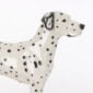 Nymphenburg Porcelain Dalmatian Close Up