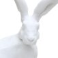 Nymphenburg Porcelain Hare White Bisque Close Up