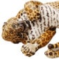 Nymphenburg Porcelain Leopard Amidou Close Up