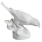 Nymphenburg Porcelain Linnet Bird In White Bisque Close Up