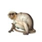 Nymphenburg Porcelain Monkey Painted