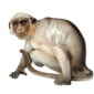 Nymphenburg Porcelain Monkey Painted Close Up