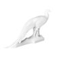 Nymphenburg Porcelain Silver Pheasant In White Bisque