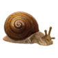 Nymphenburg Porcelain Snail Close Up