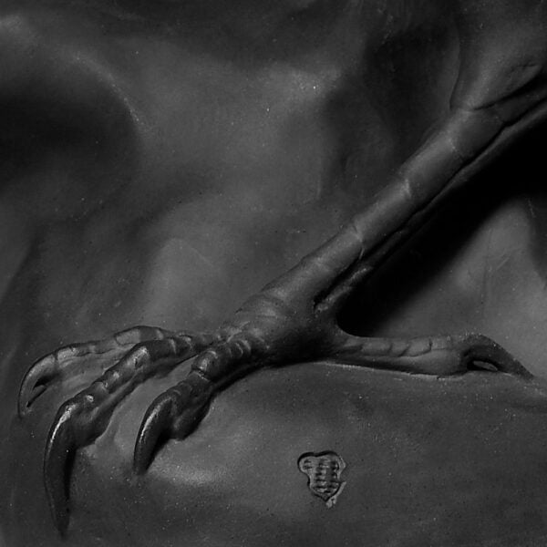 Nymphenburg Raven Bird in Black Bisque Detail View