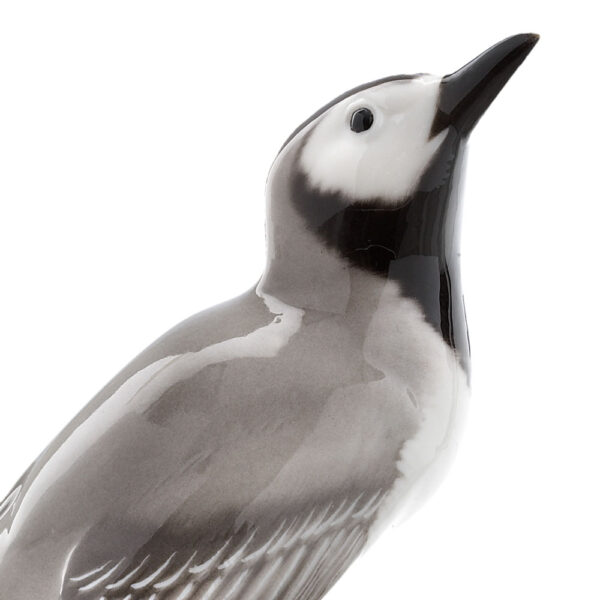 Nymphenburg Water Wagtail Bird Painted Close Up