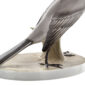Nymphenburg-Water-Wagtail-Bird-Painted-Wing-Detail