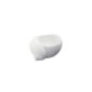 Nymphenburg Snail Pepper White
