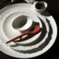 Nymphenburg Coral Dinnerware