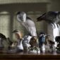 Nymphenburg Painted Birds