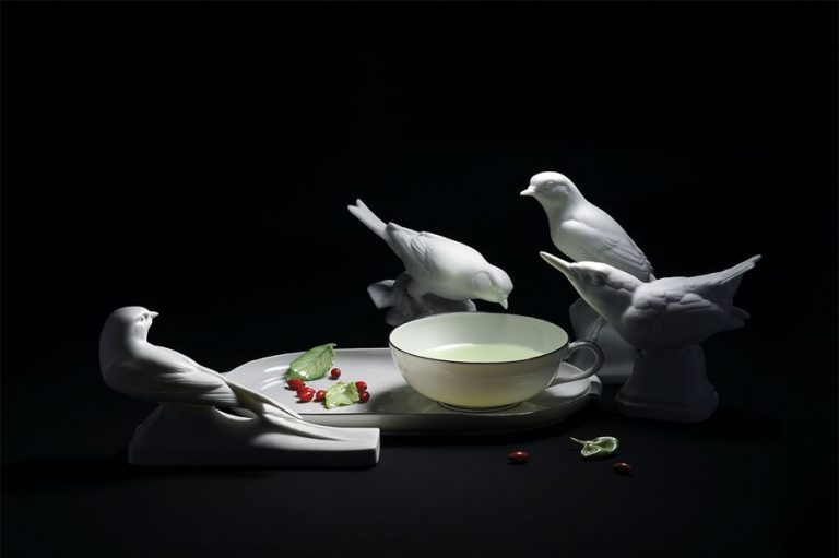 Nymphenburg Bird Figurines