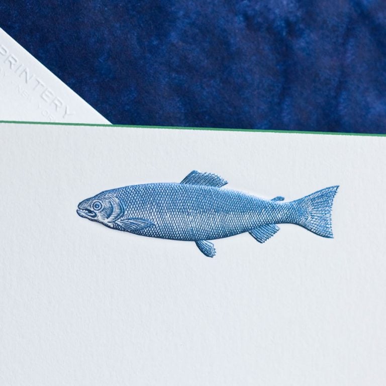 The Printery Fish Note Cards The Printery Fish Note Cards