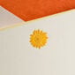 The Printery Sunflower Boxed Note CArds