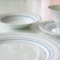 Hering Berin Soda Dinnerware Close up