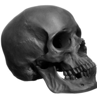 Nymphenburg Skull Black Bisque Large Detail View