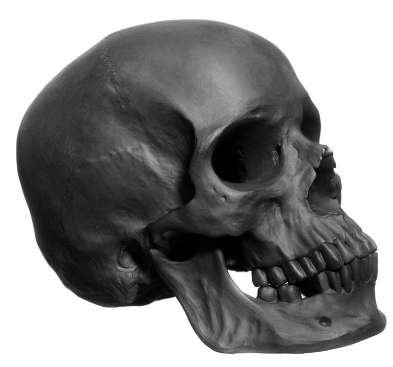 Nymphenburg Skull Black Bisque Large Detail View