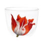 Lobmeyr Alpha Tulipmania Water Tumbler No. 3