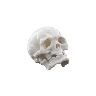 Nymphenburg Skull Small Ivory Glazed
