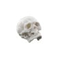 Nymphenburg Skull Small Ivory Glazed