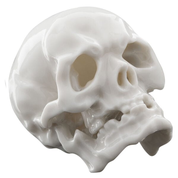 Nymphenburg Skull Small Ivory Glazed Detail View