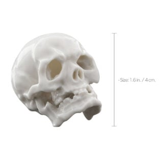 Nymphenburg Skull Small Ivory Glazed Size