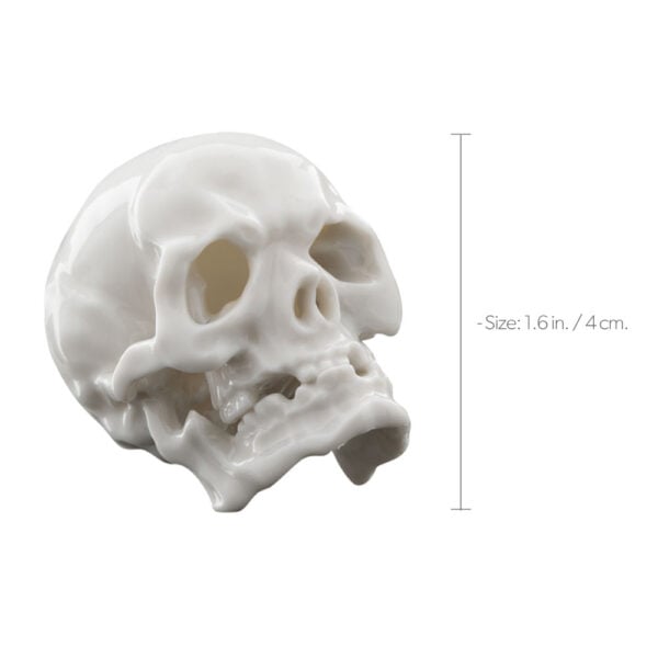 Nymphenburg Skull Small Ivory Glazed Size