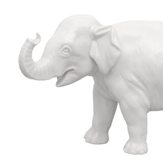 Nymphenburg Young Elephant No. 877a Ivory Glazed Close Up