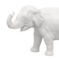 Nymphenburg Young Elephant No. 877a Ivory Glazed Close Up