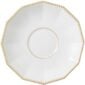 Saucer