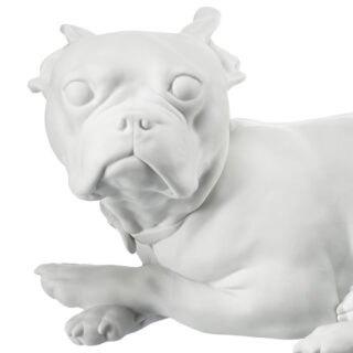 Nymphenburg French Bulldog Close Up