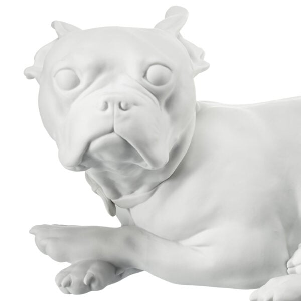 Nymphenburg French Bulldog Close Up
