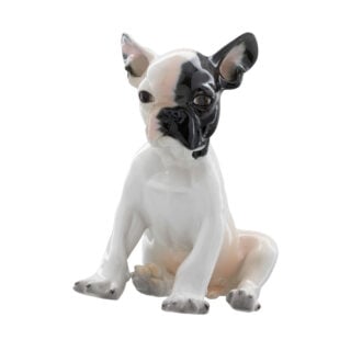 Nymphenburg French Bulldog Puppy