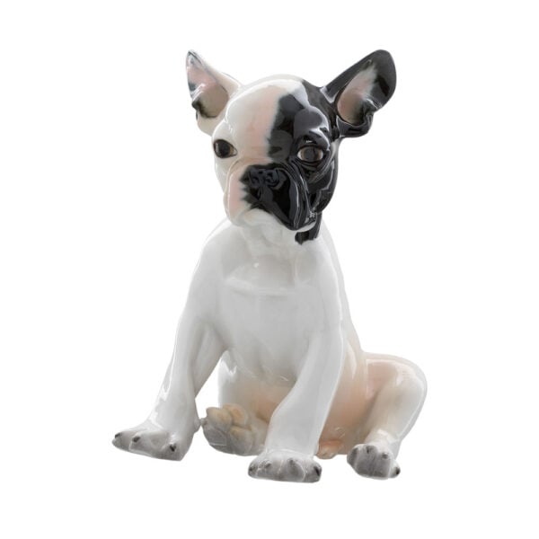 Nymphenburg French Bulldog Puppy