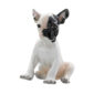 Nymphenburg French Bulldog Puppy